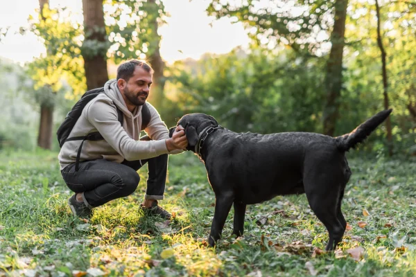 man-with-his-black-labrador-playing-garden-green-grass